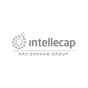 Intellecap Grey